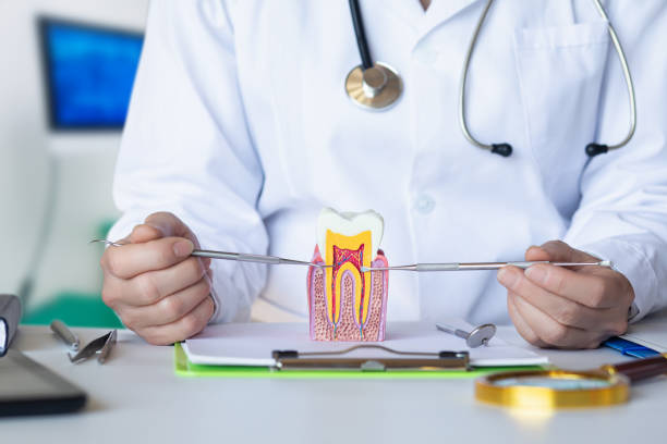 Best After-Hours Dental Trauma Care in Mount Vernon, OH